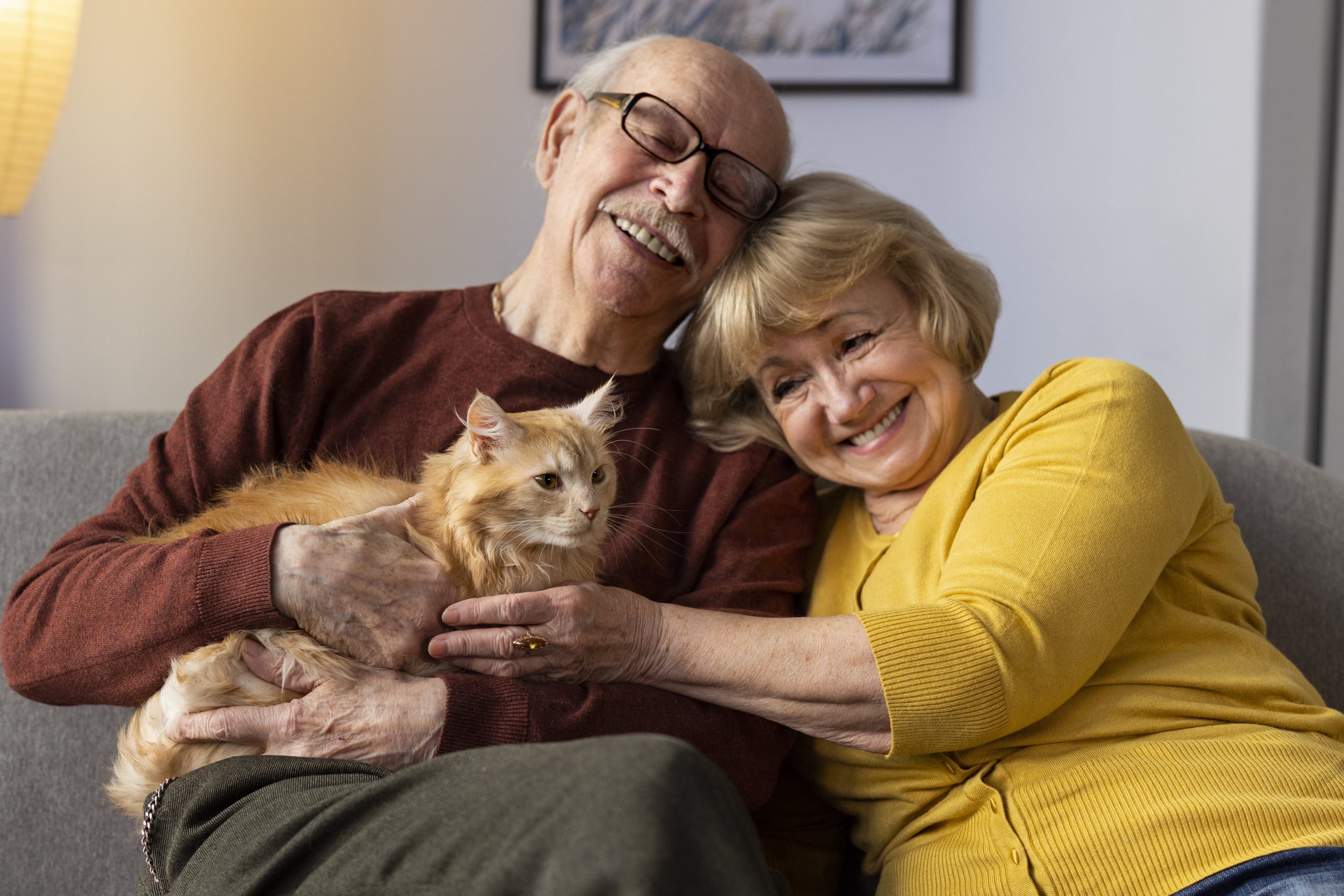 ways to help seniors deal with isolation