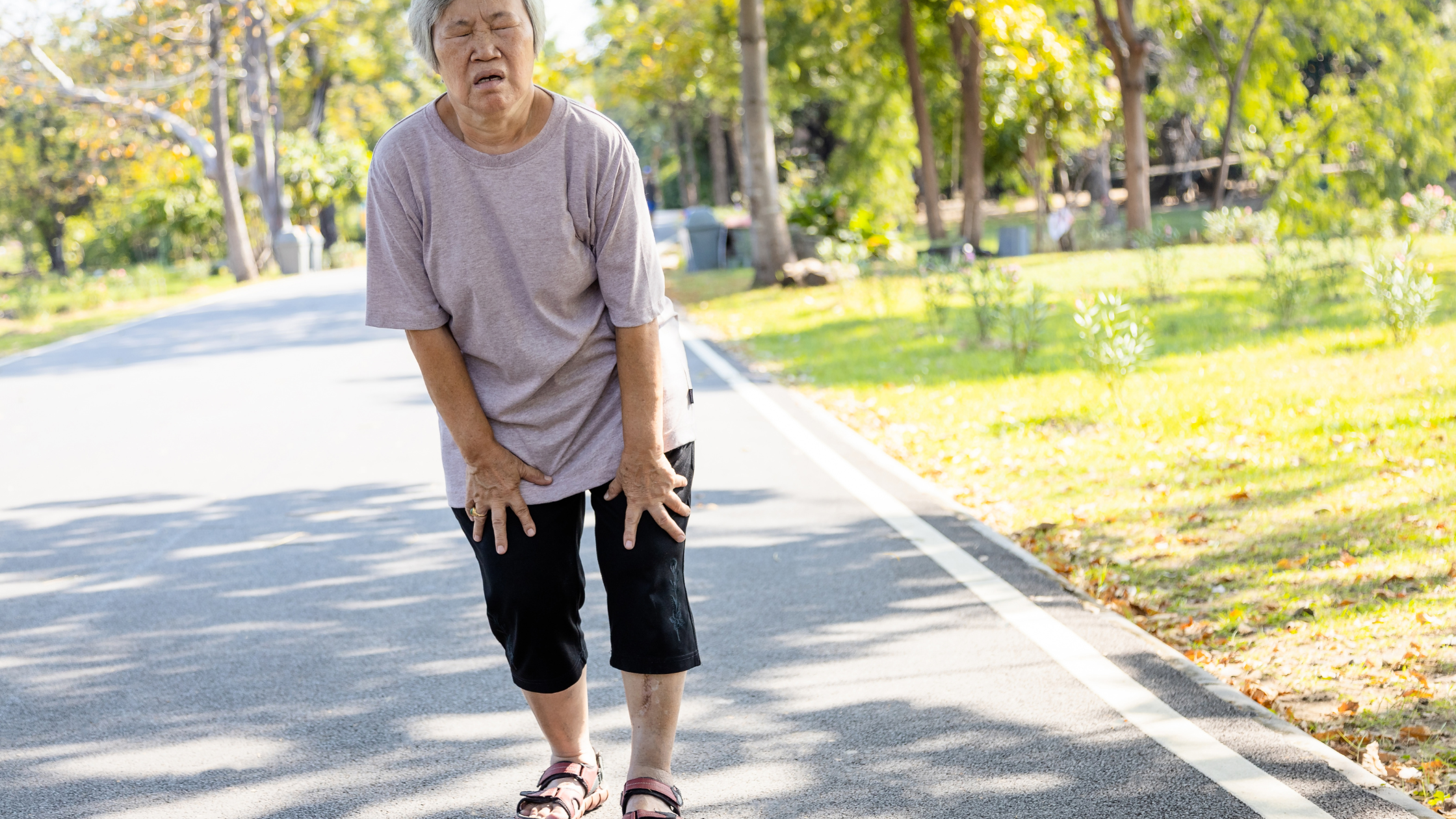 physical therapy for aging parents